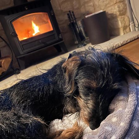 Cosy Cotswold Lodge By Your Home Here - Summer Sale For 3 Plus Nights - Ideal For Families With Log-Burner, Spa, Private Parking And Heated Swimming Pools Ashton Keynes Eksteriør billede