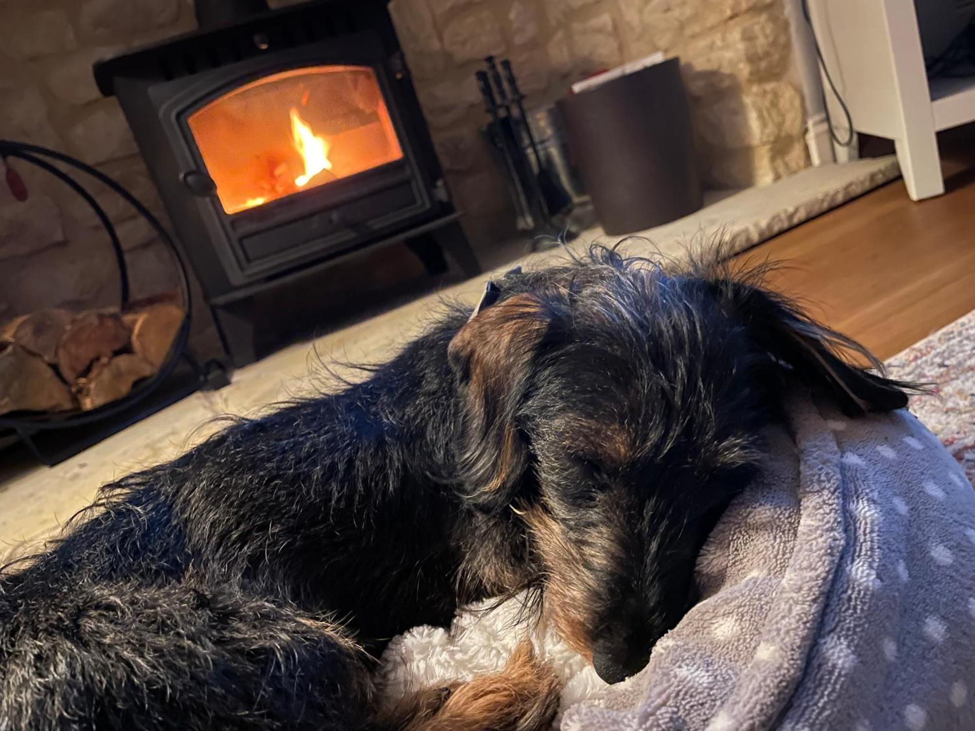 Cosy Cotswold Lodge By Your Home Here - Summer Sale For 3 Plus Nights - Ideal For Families With Log-Burner, Spa, Private Parking And Heated Swimming Pools Ashton Keynes Eksteriør billede